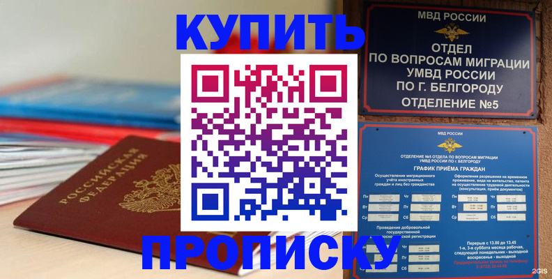 прописка для работы в Владимире