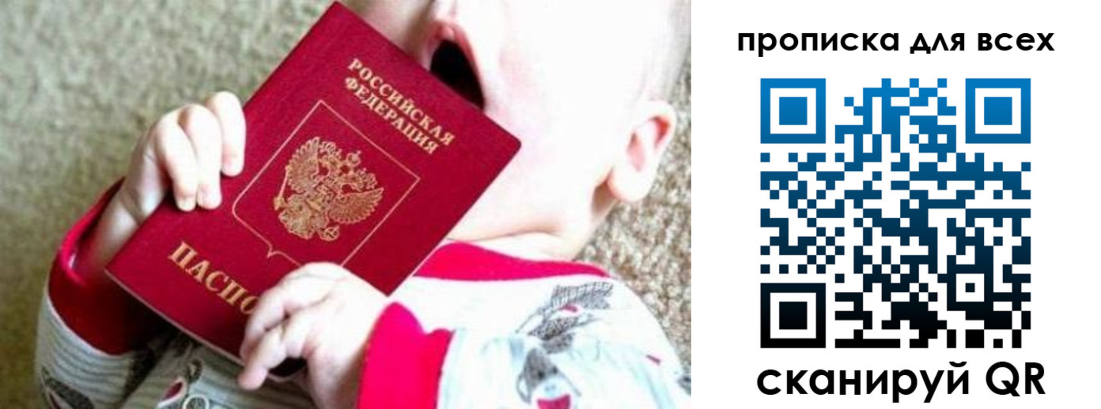 пропишу в квартире в Владимире